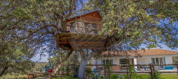 6 bedrooms House in Estremoz, Portugal No. 141036 3