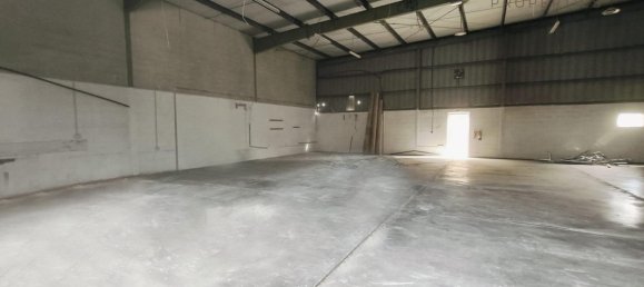  مستودع في Al Quoz, UAE 260.1متر مربع رقم 41594 2