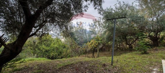 7غرفة منزل في Belvedere Ostrense, Italy رقم 5639 18