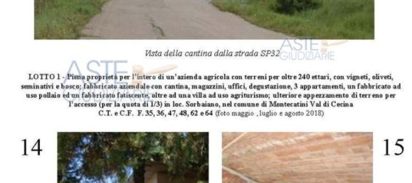 Villa de 39 dormitorios en Montecatini Val di Cecina, Italy No. 342534 16