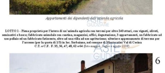 Villa de 39 dormitorios en Montecatini Val di Cecina, Italy No. 342534 12