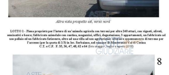 Villa de 39 dormitorios en Montecatini Val di Cecina, Italy No. 342534 13