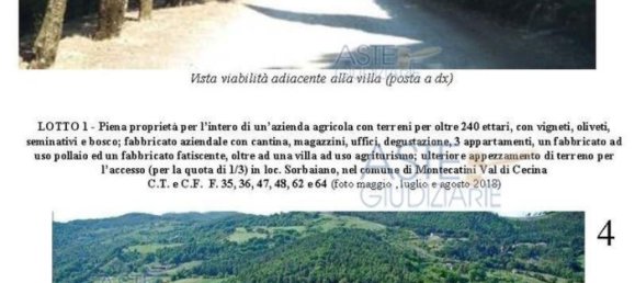 Villa de 39 dormitorios en Montecatini Val di Cecina, Italy No. 342534 11