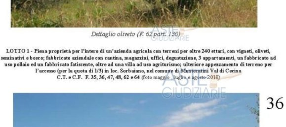 Villa de 39 dormitorios en Montecatini Val di Cecina, Italy No. 342534 9