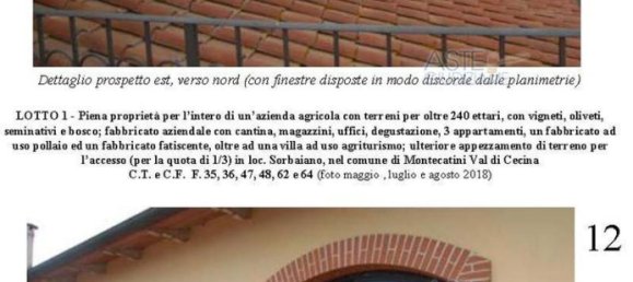 Villa de 39 dormitorios en Montecatini Val di Cecina, Italy No. 342534 15