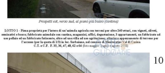 Villa de 39 dormitorios en Montecatini Val di Cecina, Italy No. 342534 14