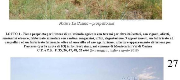 Villa de 39 dormitorios en Montecatini Val di Cecina, Italy No. 342534 5