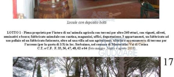 Villa de 39 dormitorios en Montecatini Val di Cecina, Italy No. 342534 17
