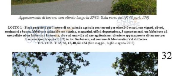 Villa de 39 dormitorios en Montecatini Val di Cecina, Italy No. 342534 7