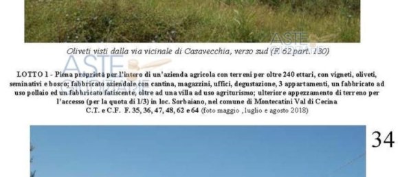 Villa de 39 dormitorios en Montecatini Val di Cecina, Italy No. 342534 8