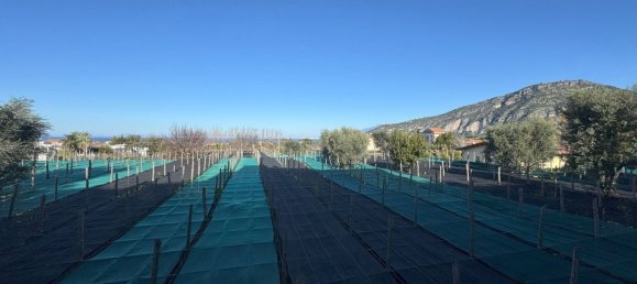 1 bedroom Apartment in Sant'Agnello, Italy No. 357525 13