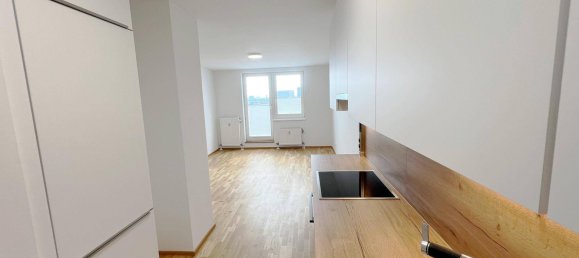 2-Zimmer Wohnung in Brigittenau, Austria, Nr. 210111 17