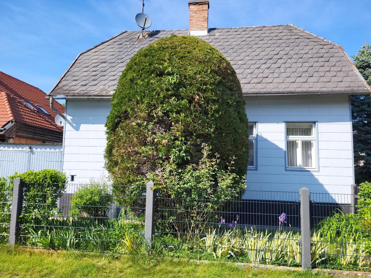 7-Zimmer Haus in Liesing, Austria, Nr. 180438