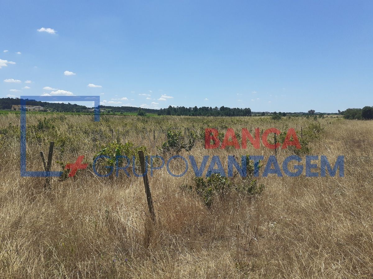 7500m² Land in Alpiarca, Portugal No. 62216