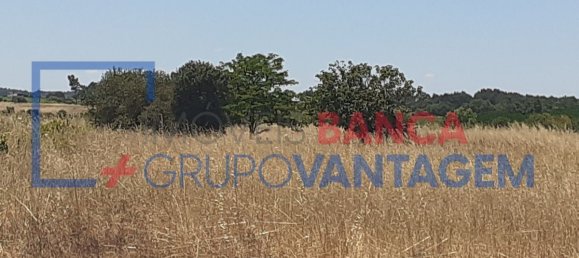 7500m² Land in Alpiarca, Portugal No. 62216 5