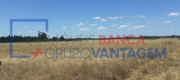 7500m² Land in Alpiarca, Portugal No. 62216 3