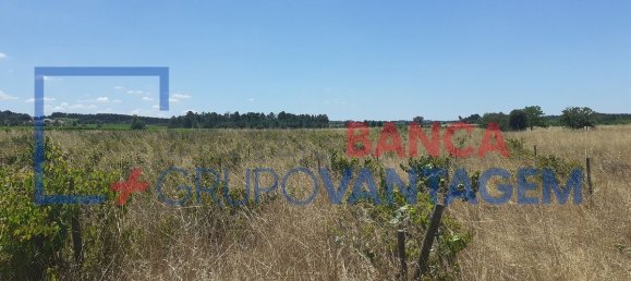7500m² Land in Alpiarca, Portugal No. 62216 2