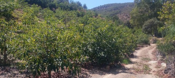 3 bedrooms House in Tolox, Spain No. 153132 15