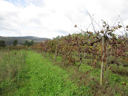 11000m² Land in Marco de Canaveses, Portugal No. 55439