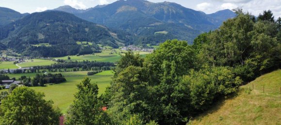 Grundstück in Trieben, Austria, Nr. 38603 4