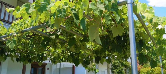  تاون هاوس في Chalkidiki, Greece 224متر مربع رقم 5605 19