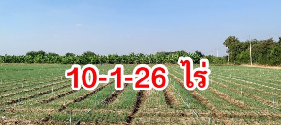  قطعة أرض في Tha Muang, Thailand 41600متر مربع رقم 74715 2