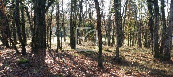 Terreno en Chartrier-Ferriere, France 1380 m² No. 96021 4