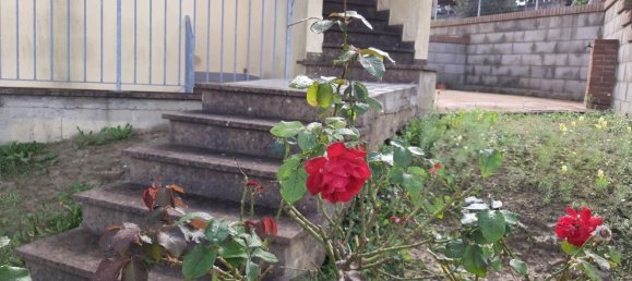 4غرفة شقة في Peccioli, Italy رقم 204344 10