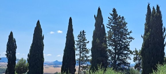 4غرفة شقة في Peccioli, Italy رقم 204344 52