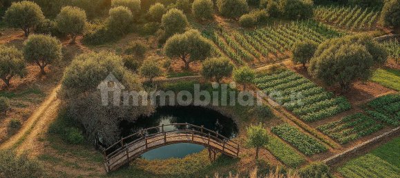 2 bedrooms House in Luogosanto, Italy No. 288300 41