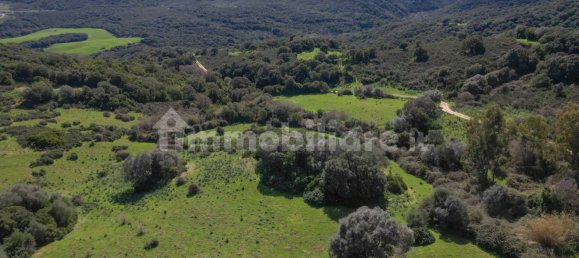 2 bedrooms House in Luogosanto, Italy No. 288300 21