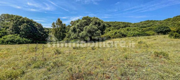 2 bedrooms House in Luogosanto, Italy No. 288300 28