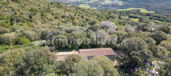 2 bedrooms House in Luogosanto, Italy No. 288300 6