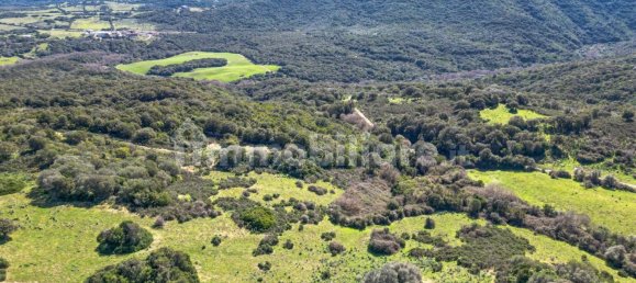 2 bedrooms House in Luogosanto, Italy No. 288300 4