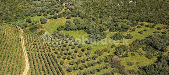 2 bedrooms House in Luogosanto, Italy No. 288300 46