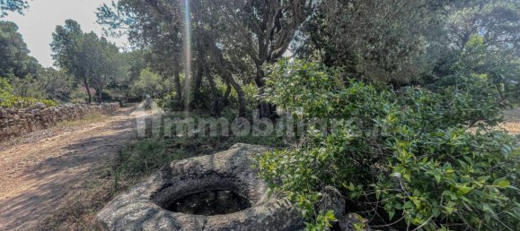 2 bedrooms House in Luogosanto, Italy No. 288300 12