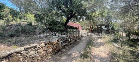 2 bedrooms House in Luogosanto, Italy No. 288300 8