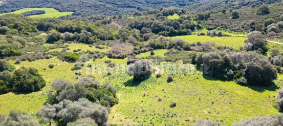 2 bedrooms House in Luogosanto, Italy No. 288300 10