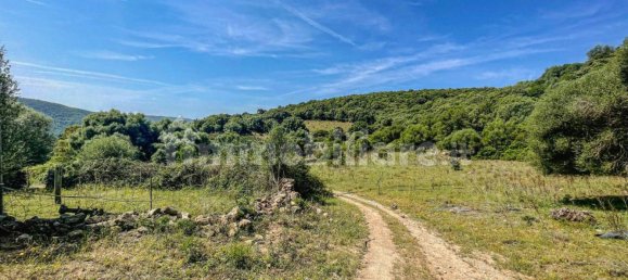 2 bedrooms House in Luogosanto, Italy No. 288300 35