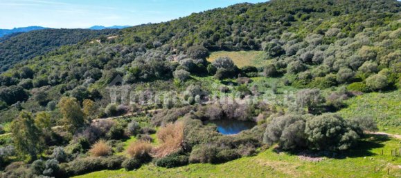 2 bedrooms House in Luogosanto, Italy No. 288300 3