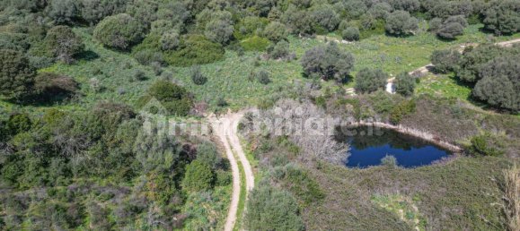 2 bedrooms House in Luogosanto, Italy No. 288300 13