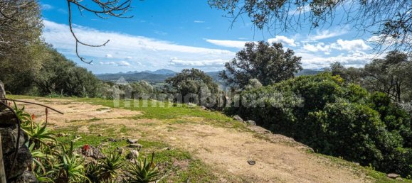 2 bedrooms House in Luogosanto, Italy No. 288300 17