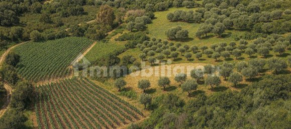 2 bedrooms House in Luogosanto, Italy No. 288300 45