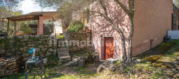 2 bedrooms House in Luogosanto, Italy No. 288300 11