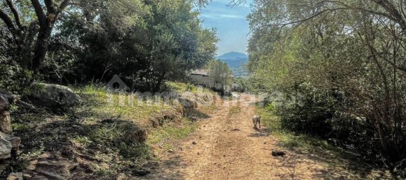 2 bedrooms House in Luogosanto, Italy No. 288300 16