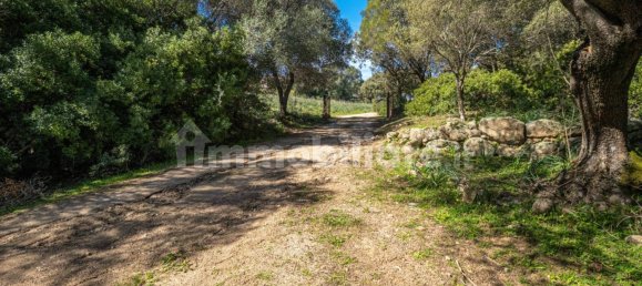 2 bedrooms House in Luogosanto, Italy No. 288300 19