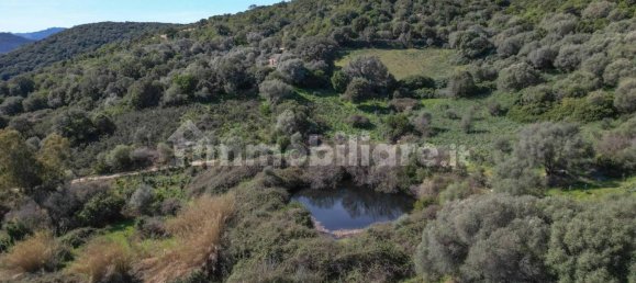 2 bedrooms House in Luogosanto, Italy No. 288300 20