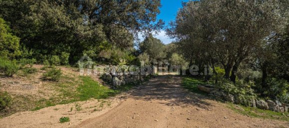 2 bedrooms House in Luogosanto, Italy No. 288300 18