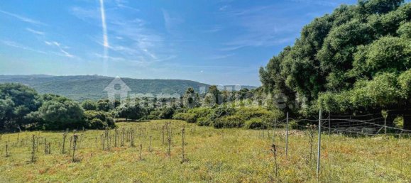 2 bedrooms House in Luogosanto, Italy No. 288300 34