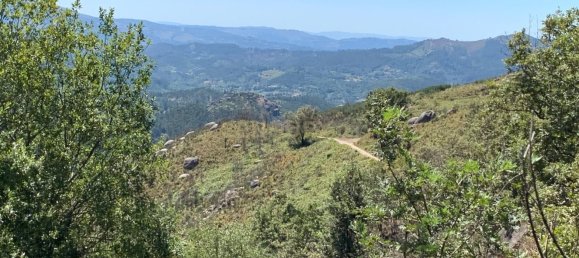 3 Schlafzimmer Haus in Cantelaes, Portugal, Nr. 187812 20